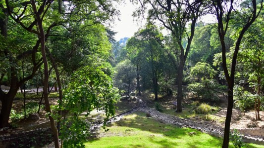 ExZoo: la semana que viene abre sus puertas el Parque de la Biodiversidad