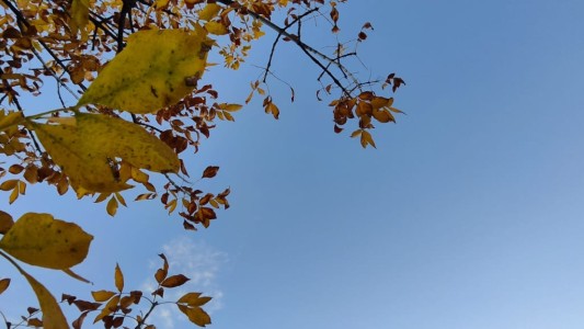 Clima en Córdoba: el tiempo este lunes 15 de mayo