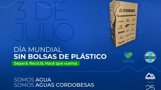 Abracemos el Ambiente, reemplacemos el uso de los plásticos