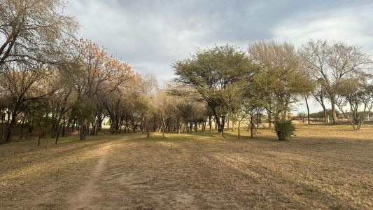 La temperatura vuelve a la normalidad