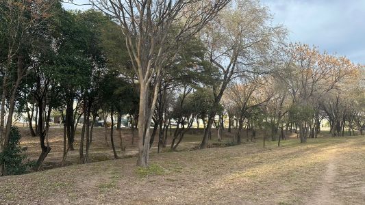 Martes nublado y fresco