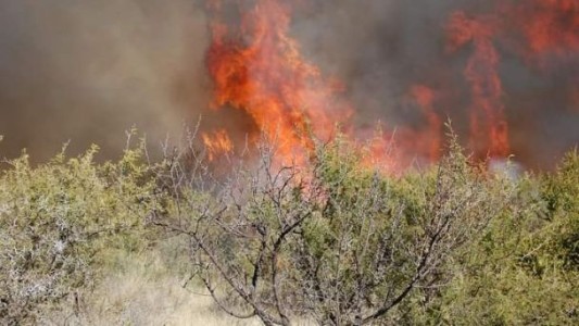 Un nuevo foco de incendio forestal en Camino a San Esteban
