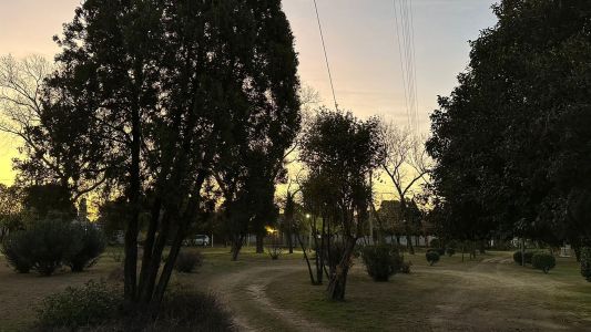 Martes: una tarde de calor