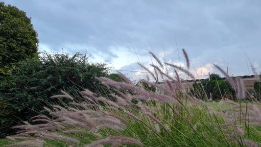 Amplitud térmica típica de invierno