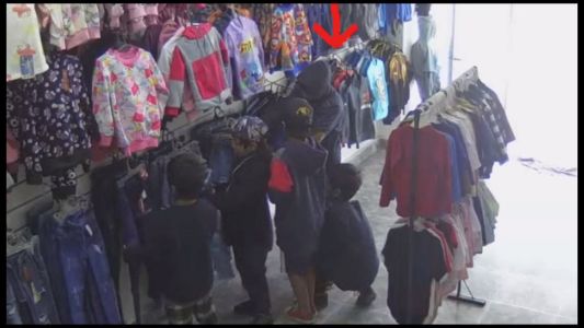 Niños ladrones: ¿Cómo actuar?