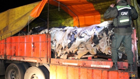 Gendarmería incautó un camión con pieles y cueros de animales valuados en una cifra millonaria