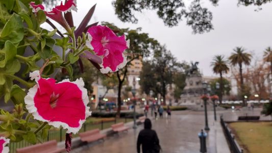 Un poco más que fresco