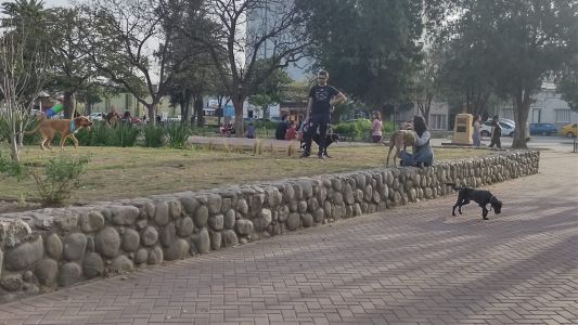 Las temperaturas vuelven a la normalidad