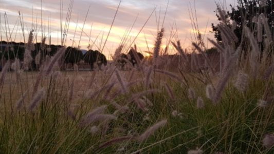 De la normalidad al calor