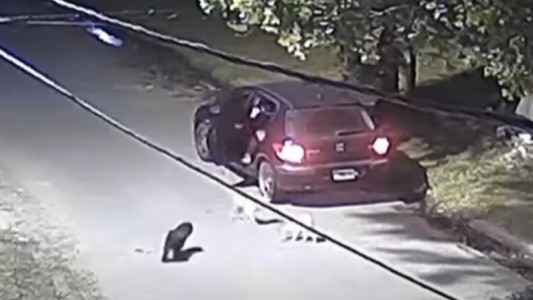 Indignante actitud: tiraron de un auto y dejaron abandonados a cuatro perros