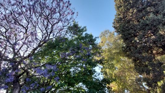 Temperaturas de menor a mayor