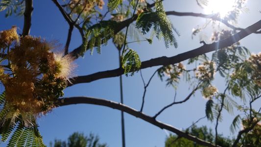 Marcado descenso de temperatura