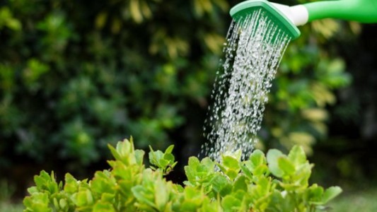 Primavera, jardín florecido y cuidado del agua pueden ser sinónimos