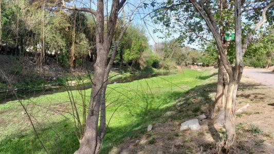 Más nubes, menos amplitud térmica
