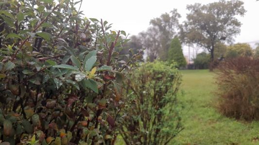 Templado, húmedo y nuboso