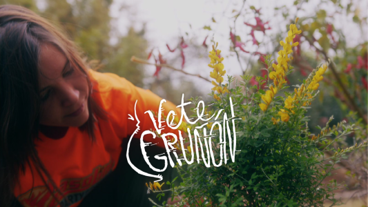 ¡Hoy en Vete Gruñón: una ensalada súper nutritiva!