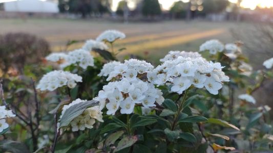 Amplitud térmica de primavera