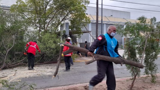 Córdoba registró caída de árboles, cables y cartelería por los fuertes vientos