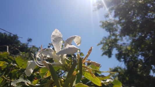 Calor, humedad y viento norte