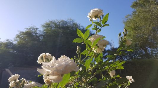 Inestabilidad y calor húmedo