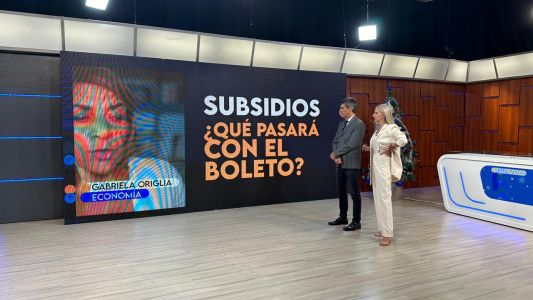 El análisis económico y los subsidios analizado por Gabriela Origlia