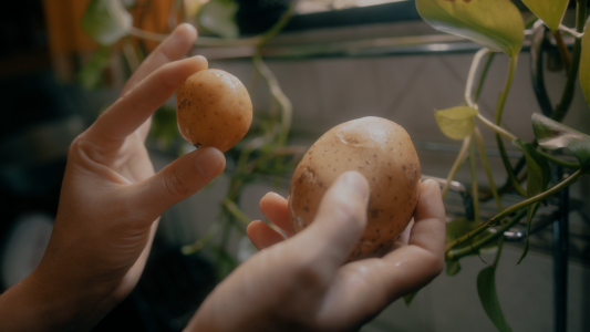 Hoy en Vete Gruñón aprendemos cómo hacer unas papas riquísimas