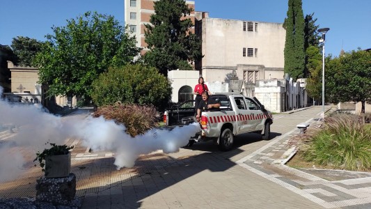 Fumigación y descacharreo para prevenir el dengue: cómo continúan los operativos