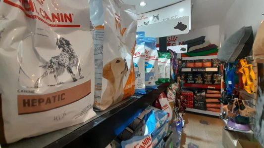 Índice mascotas Incremento interanual 350 por ciento