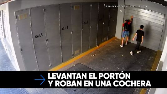 Levantan el portón y roban en una cochera