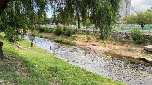Altas temperaturas en la ciudad