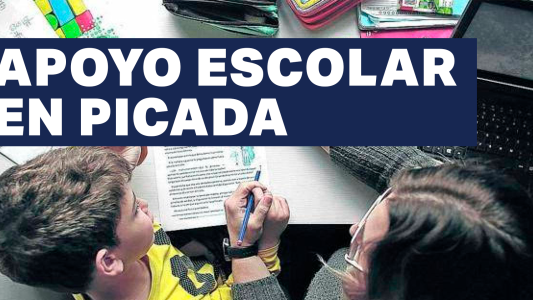 El apoyo escolar cayó un 30%