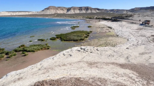 Disfrutaban un día de playa y hallaron restos óseos en bolsas
