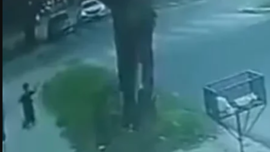 Inseguridad sin freno: nene de 8 años, arrodillado frente a los motochorros