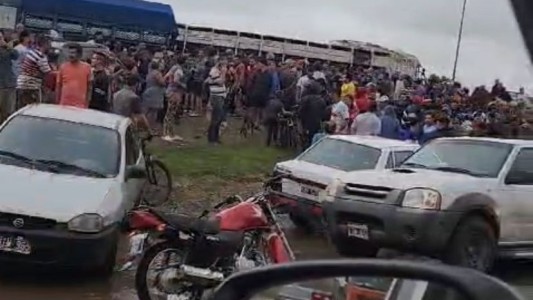 Río Cuarto: volcó un camión que transportaba animales y vecinos faenaron un animal