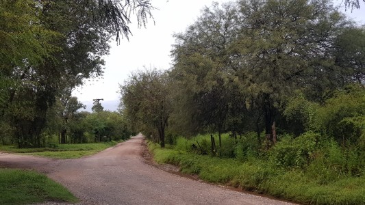 Tras el temporal, continúa el alerta amarilla por tormentas