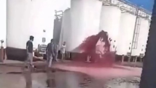 Mendoza: por un insólito error en una bodega, se perdieron 15.000 litros de vino