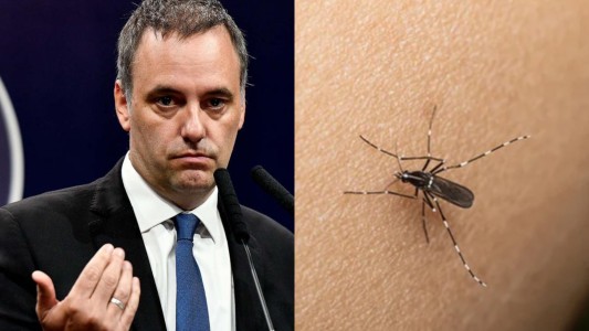 Adorni sobre incorporar la vacuna contra el dengue en el Calendario Nacional: "No lo vemos necesario"