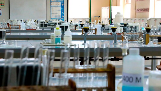 Investigadores de la UBA lograron que bacterias produjeran nanocelulosa