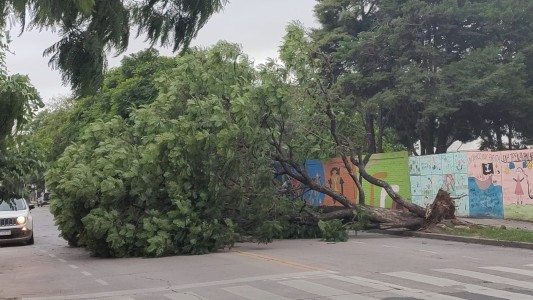 Cambio radical en el clima de Córdoba: viento sur y lluvias intensas