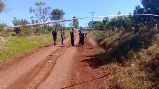 Misiones: dos pitbull se escaparon, mataron a un hombre de 64 años y atacaron a la Policía que llegó al lugar