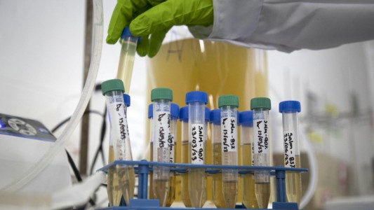 La orina humana como alternativa para crear fertilizantes