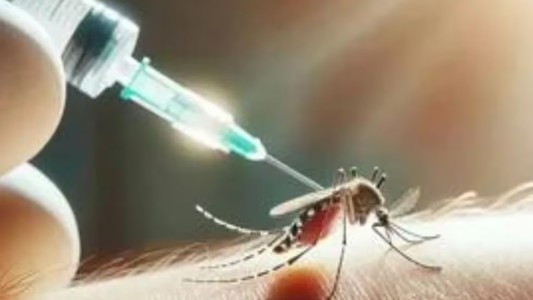 La vacuna contra el dengue qué alcances tiene y a quiénes se recomienda su aplicación