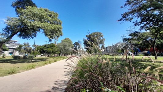 Córdoba: viernes cálido y soleado, ¿cuándo cambia el tiempo?