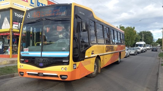 Debutaron las nuevas unidades de Coniferal en la línea 40