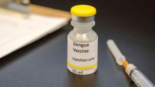 El Gobierno incorporará la vacuna del dengue de forma focalizada