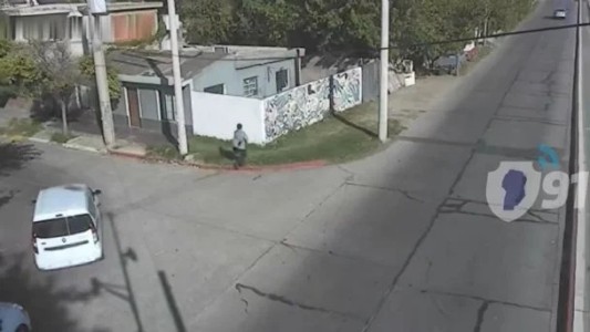 Insólito: quedó detenido por el robo de un Bulldog Francés