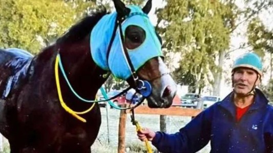 Envenenaron un caballo pura sangre en un stud y acusan a su cuidador