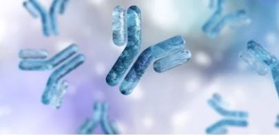 La primera iniciativa del mundo para producir anticuerpos monoclonales es argentina