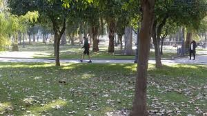 Tiempo en Córdoba: el sol sale antes de que el otoño termine