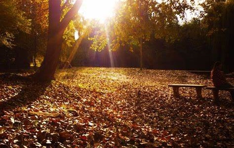 Córdoba: tiempo extendido de lo que resta del finde XL